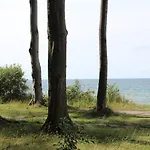 Sanddorn Ostseebad Nienhagen