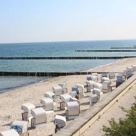 Sanddorn Ostseebad Nienhagen