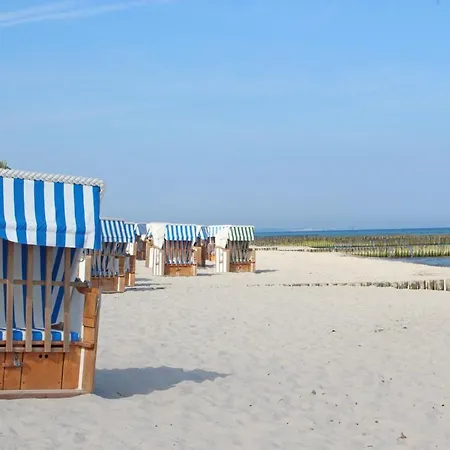Sanddorn