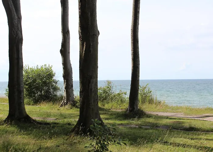 Sanddorn 奥斯特巴特宁哈根