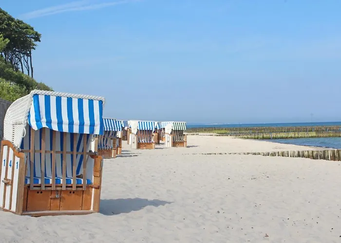 Sanddorn